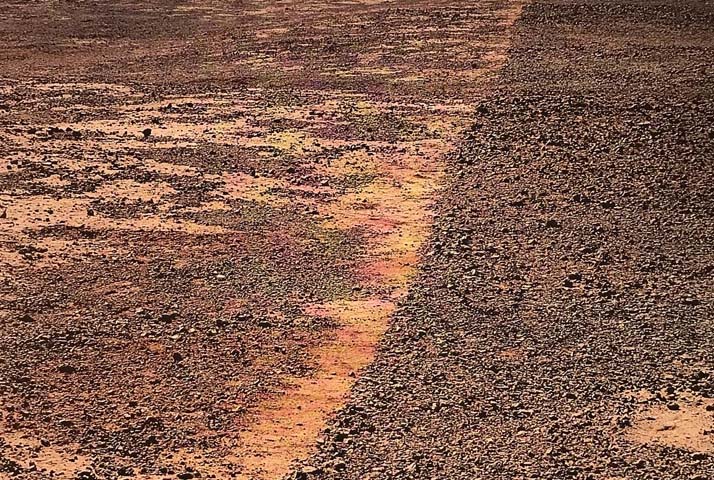 Marwood reads: Artist, Richard Long